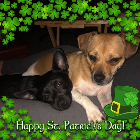 Meet your Posher, Christine - Picture 1 of 1